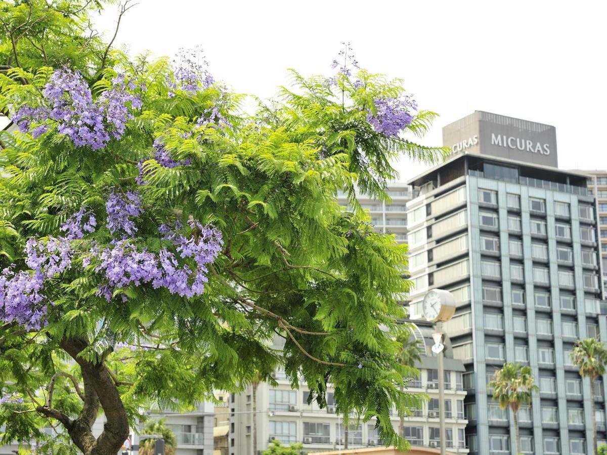 Hotel Micuras Atami  Exterior photo